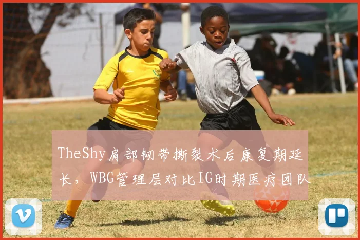 TheShy肩部韧带撕裂术后康复期延长，WBG管理层对比IG时期医疗团队遭质疑