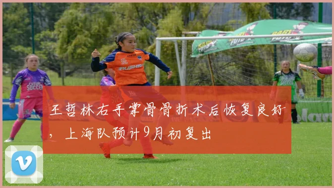 王哲林右手掌骨骨折术后恢复良好,上海队预计9月初复出